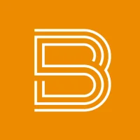 Bliss Smart Blinds